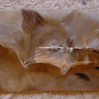 Schamanisches Arbeiten