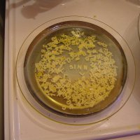 Schamanisches Arbeiten